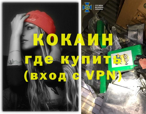 мдпв Каменногорск