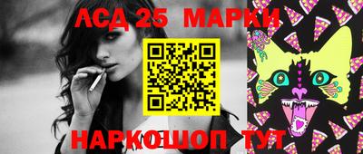spice Новодвинск