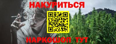 spice Новодвинск