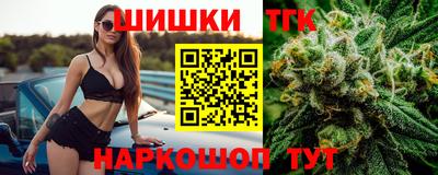 spice Новодвинск