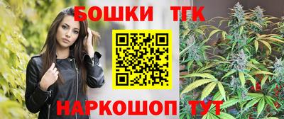 spice Новодвинск